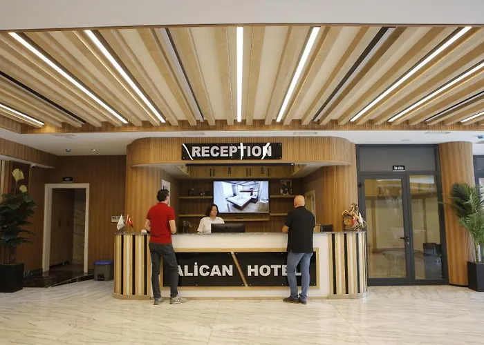 Alican 1 Hotel